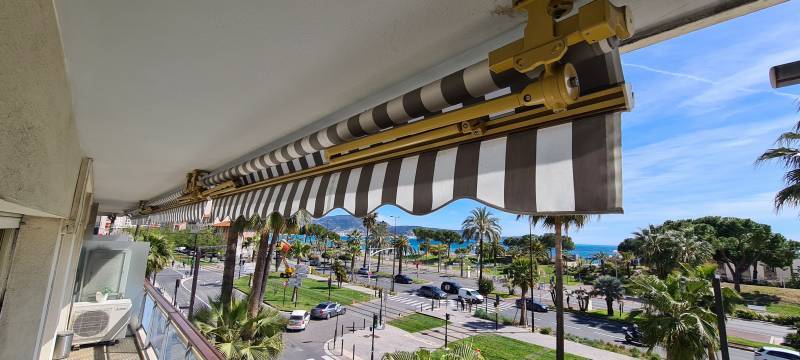store balcon